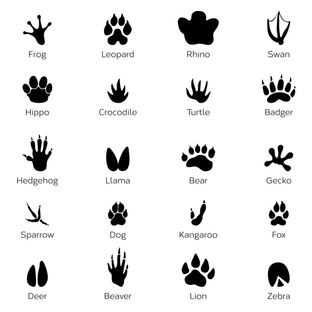 Free Free 54 Elephant Paw Print Svg SVG PNG EPS DXF File