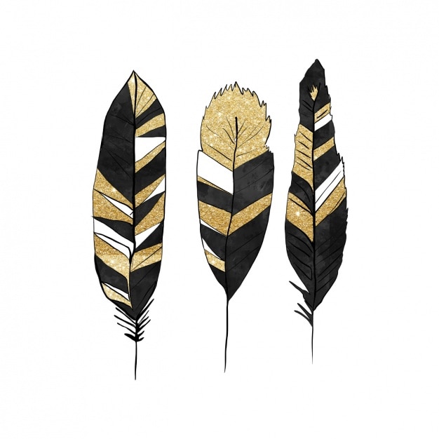 Black and golden feathers design