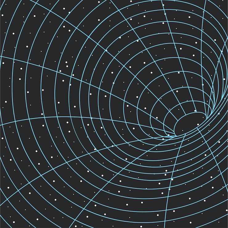 Black Holes