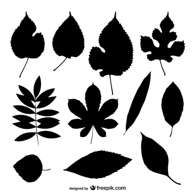 Free vector black leaves silhouettes collection