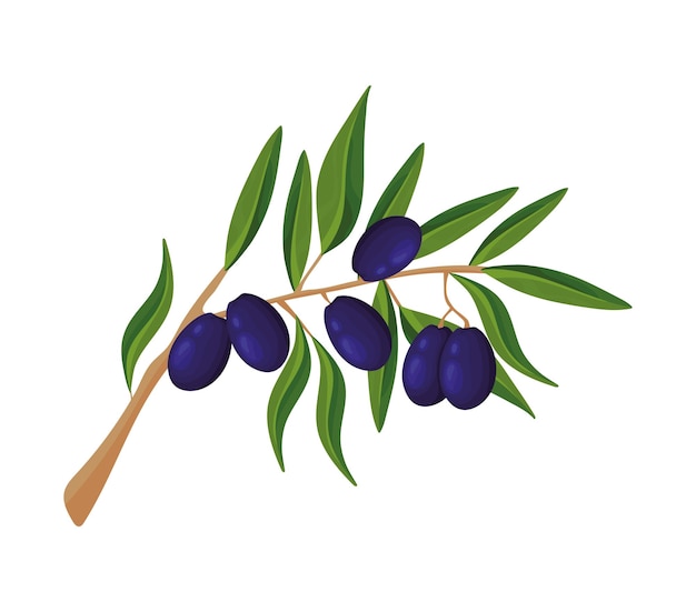 Бесплатное векторное изображение Икона черного оливкового дерева изолирована