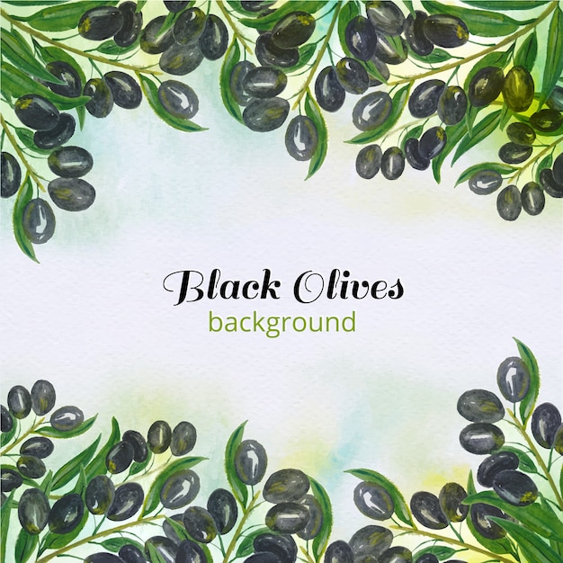 Free vector black olives background