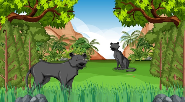 Black panther in forest scene with many trees Free Vector