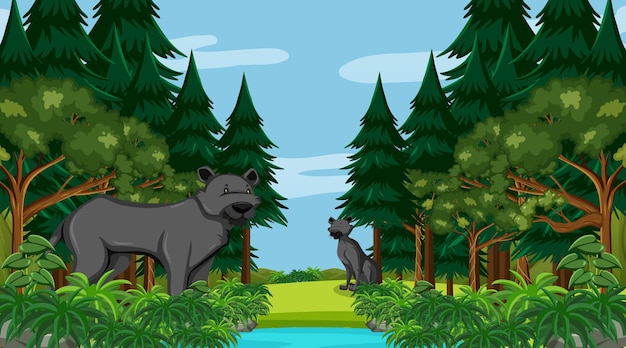 Black panther in forest scene with many trees