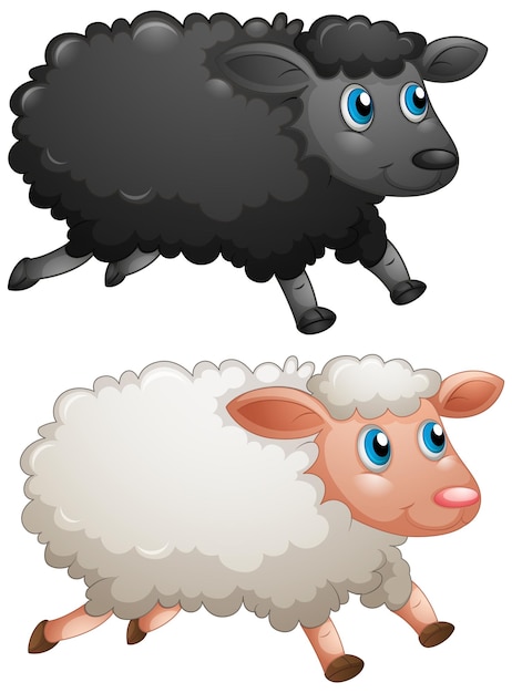 Free vector black sheep and white sheep on white background