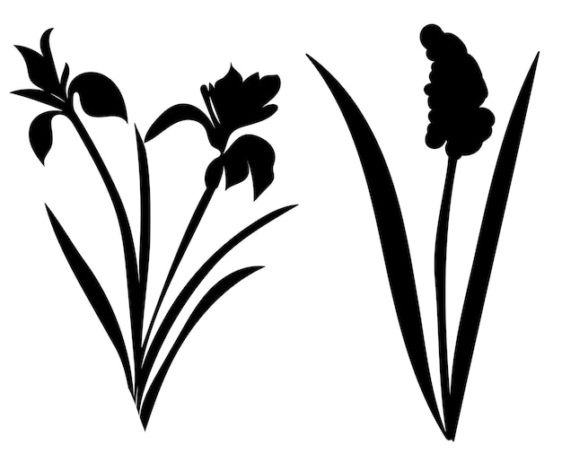 Black silhouette flowers vector, isolated