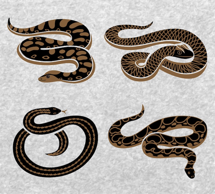 Free Vector black snakes set