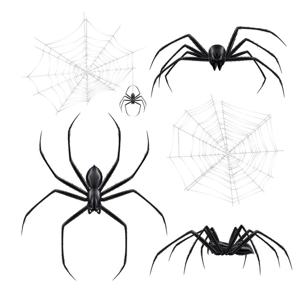 Black spiders realistic set with isolated images of spiderweb crackles and arthropod insects on blank background vector illustration