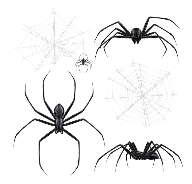 Реалистичный набор черных пауков с изолированными изображениями потрескивания паутины и членистоногих насекомых на пустой векторной иллюстрации фона