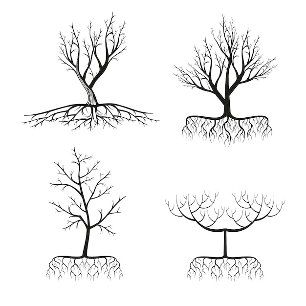 黒い木と根のセット