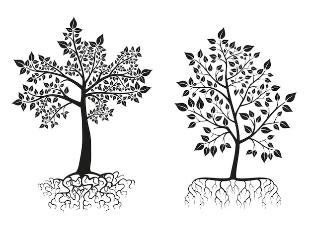 Черные деревья и корни силуэты с листьями