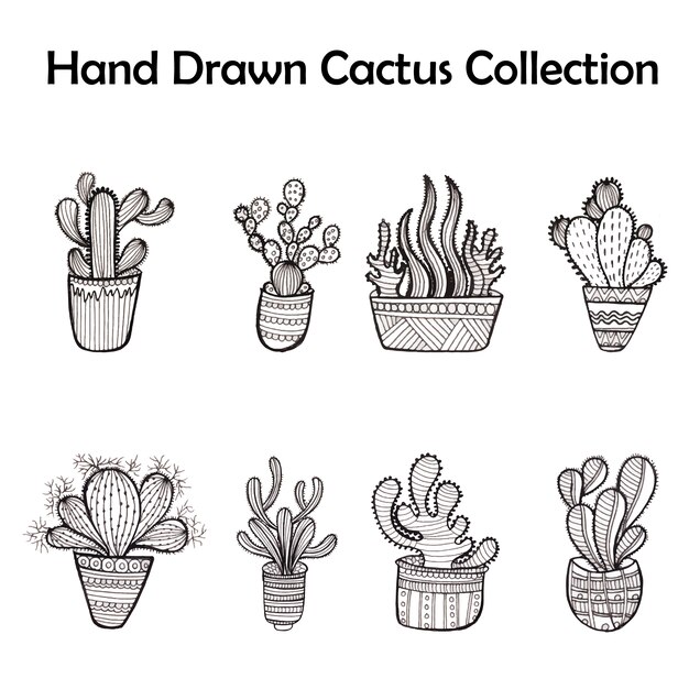 Black and white cactus collection