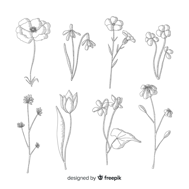 Black and white design for botanical flowers