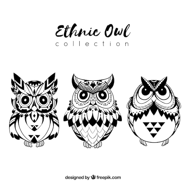 Download Free 8 771 Owl Images Free Download Use our free logo maker to create a logo and build your brand. Put your logo on business cards, promotional products, or your website for brand visibility.