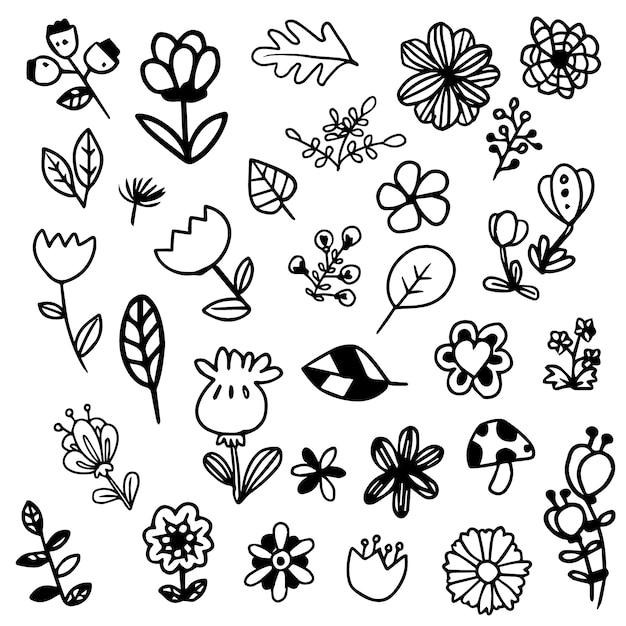 Free vector black and white flowers collection