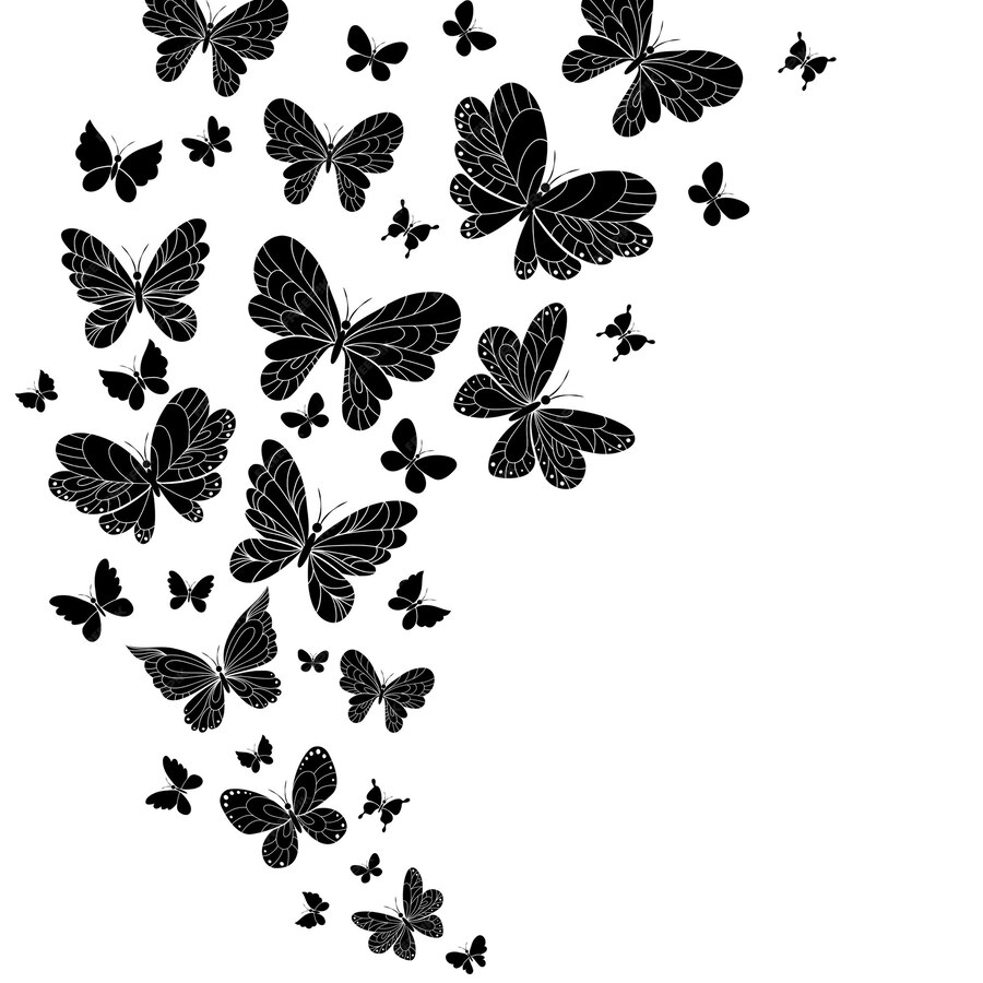My Image 12