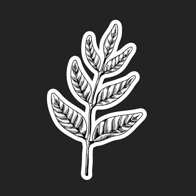 Black and white leaf sticker with a white border 