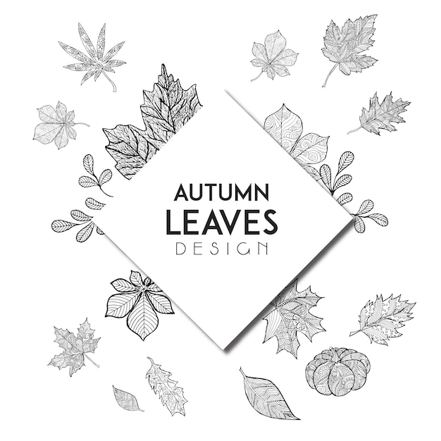 Black and white line art autumn backgrounds