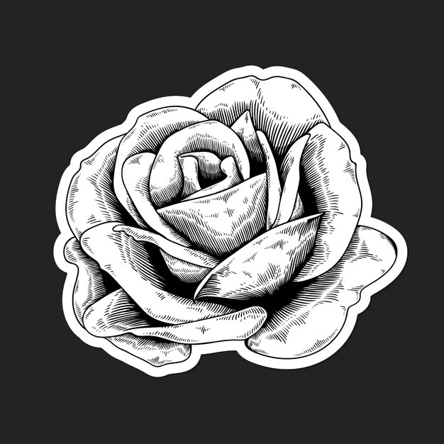 Черно-белая роза наклейка с белой рамкой вектор