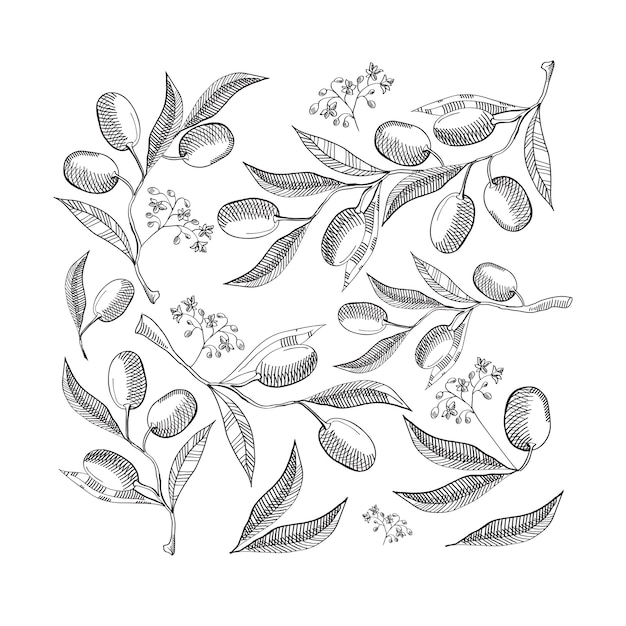 白地に抽象的なオリーブの葉とベリーと黒と白のシームレスなパターン