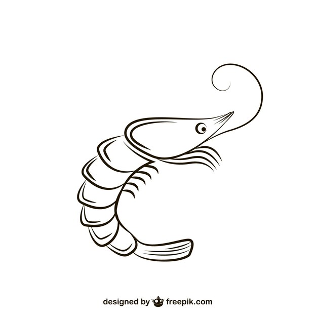 Black and white shrimp illustration
