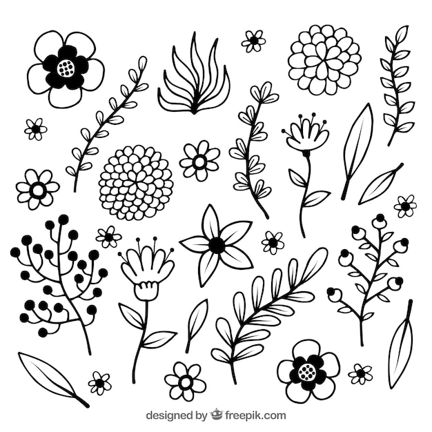 Black and white spring flower collection