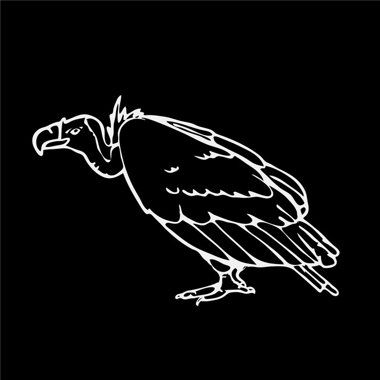 Free Vector black and white vulture design