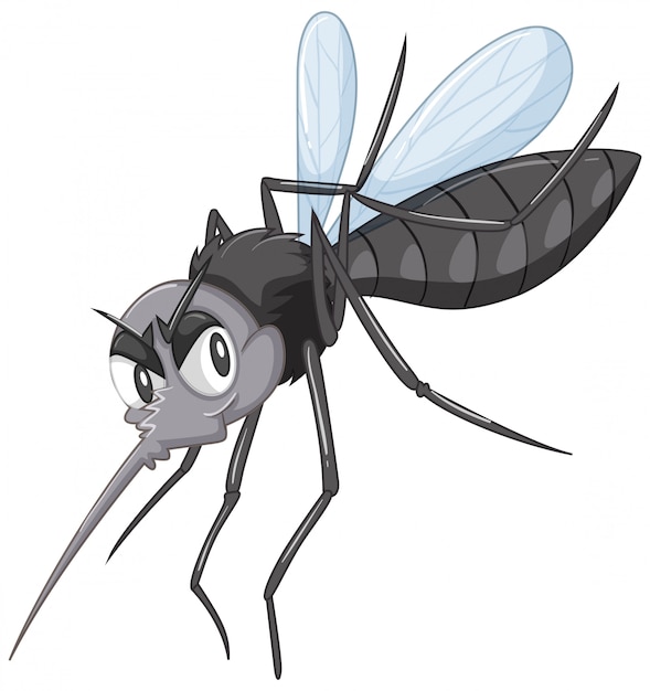 черный дикий комар