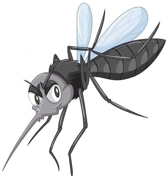 black Wild mosquito 