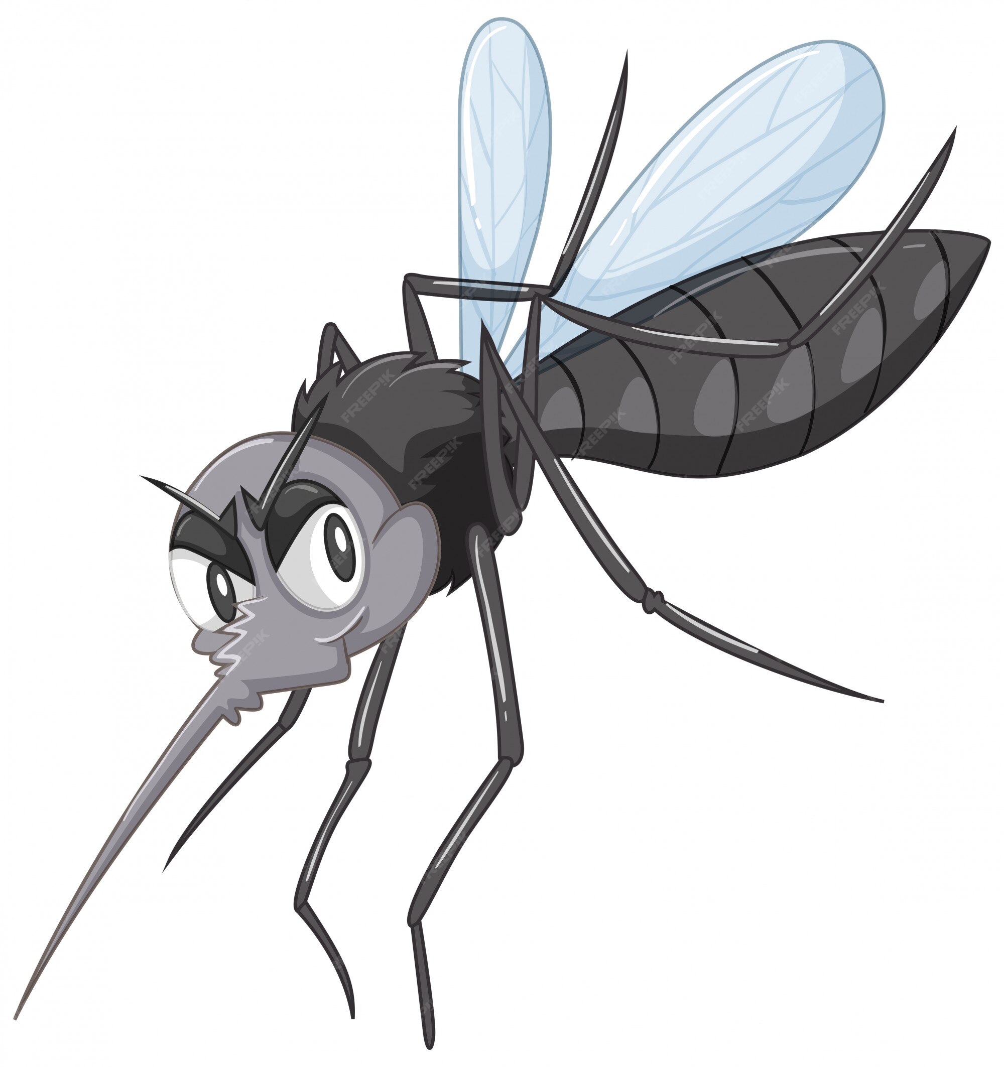 Dengue Vectors & Illustrations for Free Download | Freepik