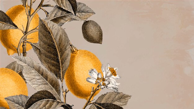 Blank lemon tree background