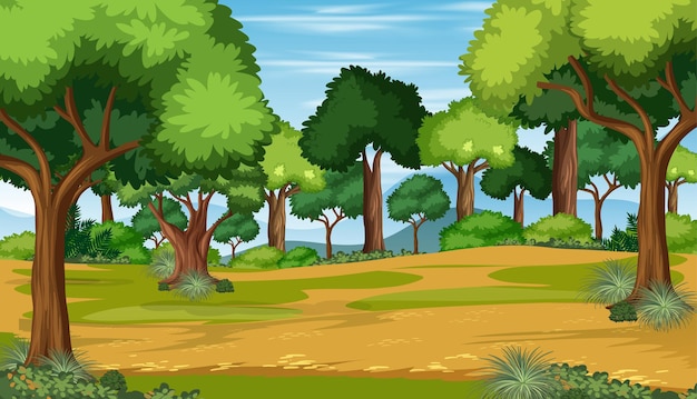 Blank nature forest landscape scene with many trees