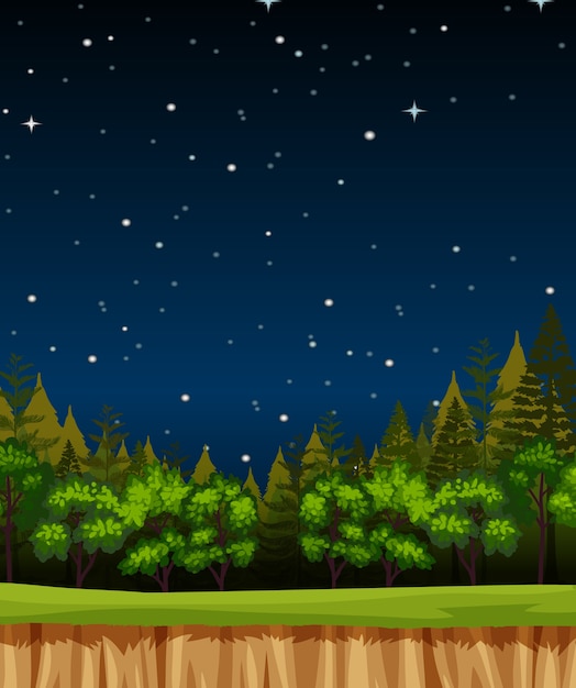 Blank night sky background scene with pines in the forest