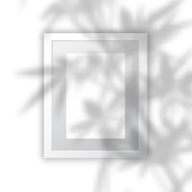 Free Vector blank picture frame with plant shadow overlay