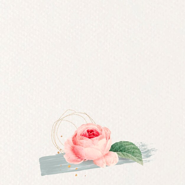 Blank pink rose background