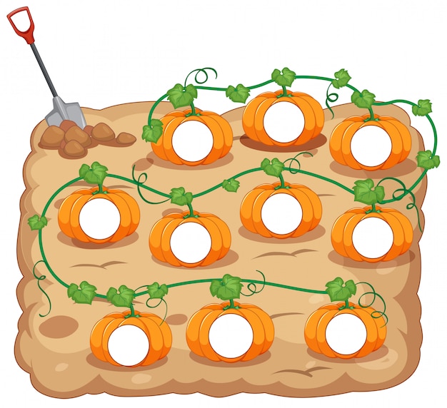 Stampa zucca vuota