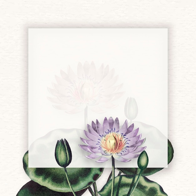 Free vector blank purple water lilies frame