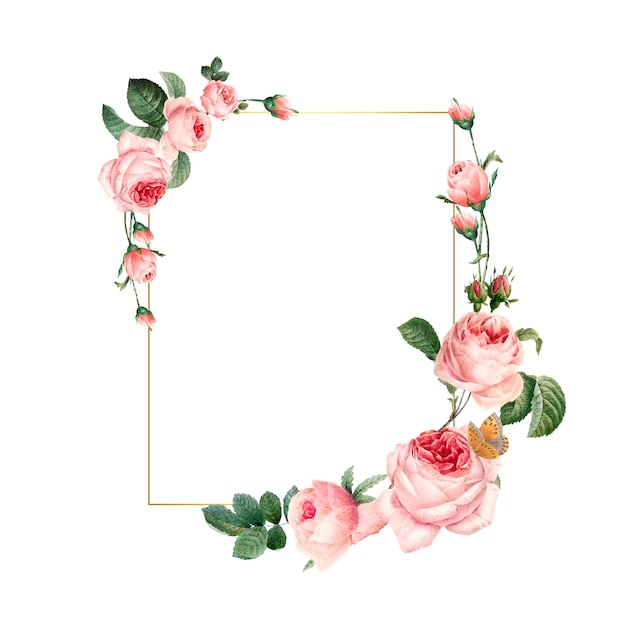 Blank rectangle pink roses frame on white background