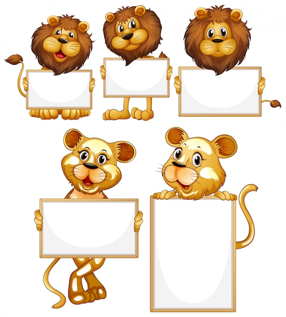 Blank sign template with many lions on white background