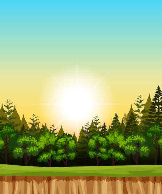 Free vector blank sunrise sky illustration scene with pines in the forest