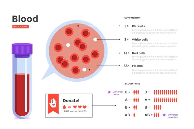 평면 디자인에 혈액 infographic 개념