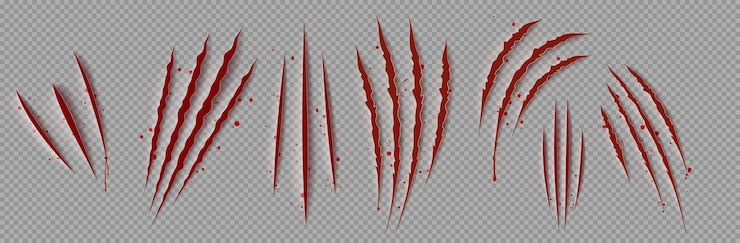 무료 Vector 피 묻은 발톱 자국 현실적인 png 3d 벡터