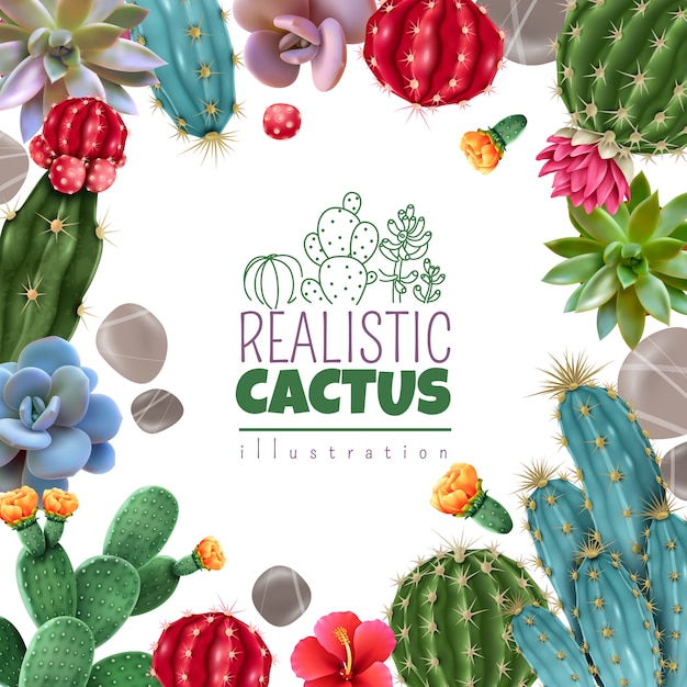 Blooming cacti and popular succulents varieties easy care decorative indoor plants realistic colorful square frame 