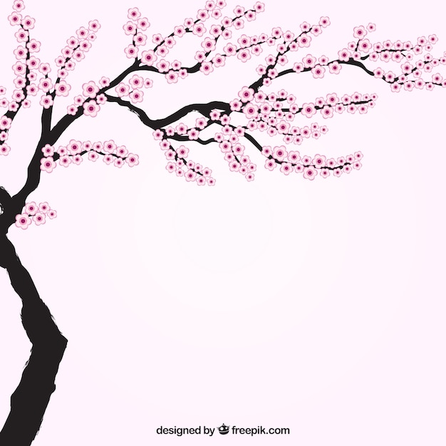 Blooming cherry tree