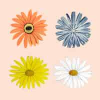 Free vector blooming colorful flower mixed set vector