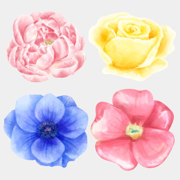 Blooming flowers watercolor collection