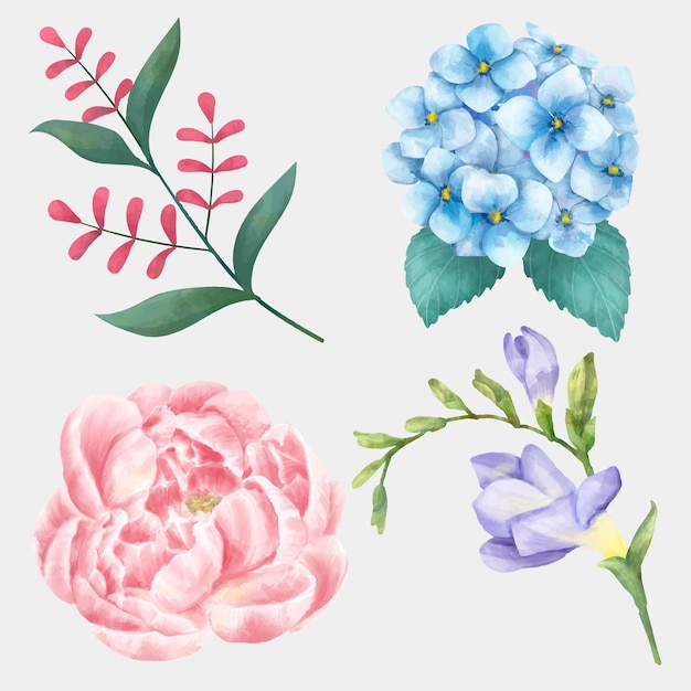 Blooming flowers watercolor set