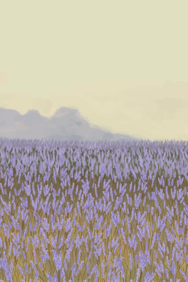Free Vector blooming lavender garden background