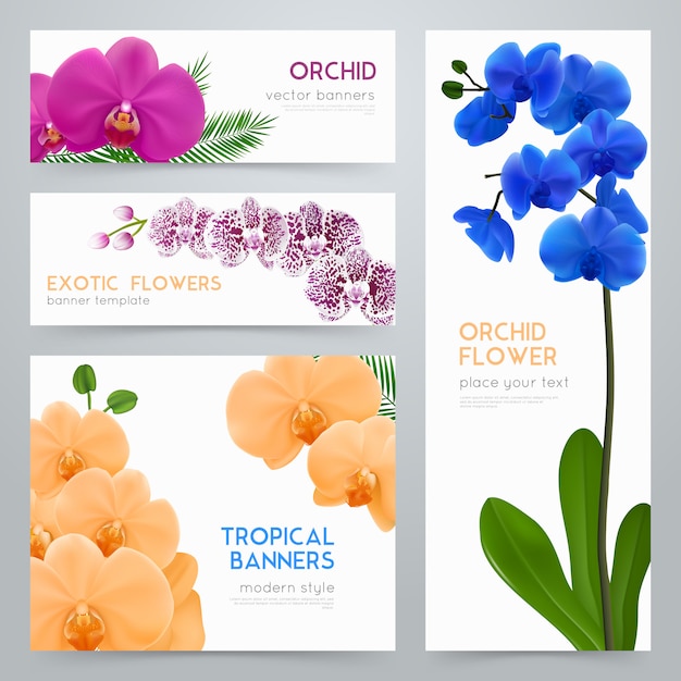 Blooming orchids realistic banners set