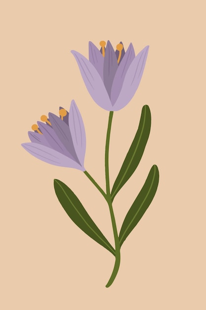 Blooming purple botanical flower vector